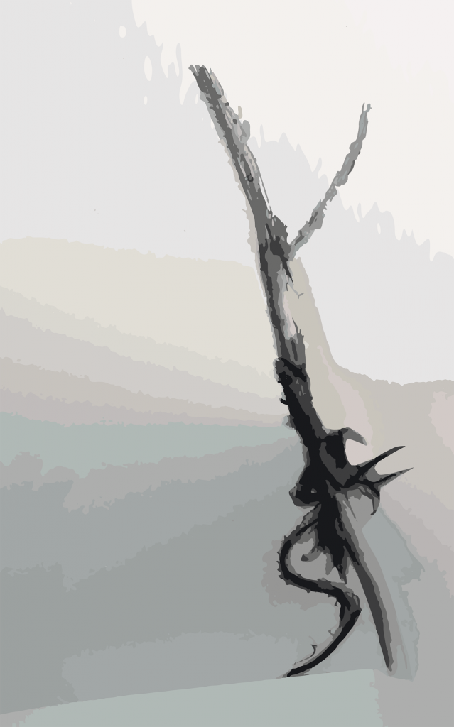 worksheet_3_branch_radiating